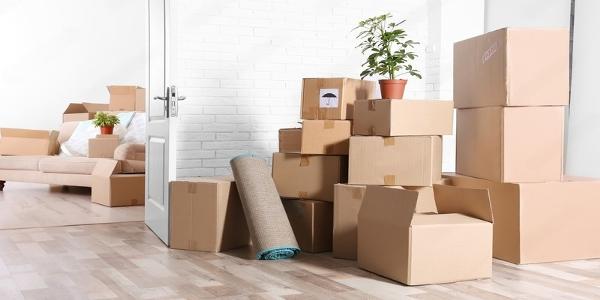 Household Shifting